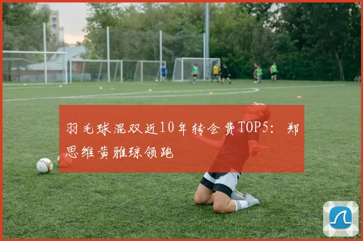 羽毛球混双近10年转会费TOP5：郑思维黄雅琼领跑