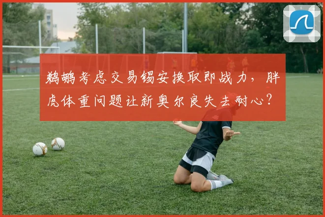 鹈鹕考虑交易锡安换取即战力，胖虎体重问题让新奥尔良失去耐心？