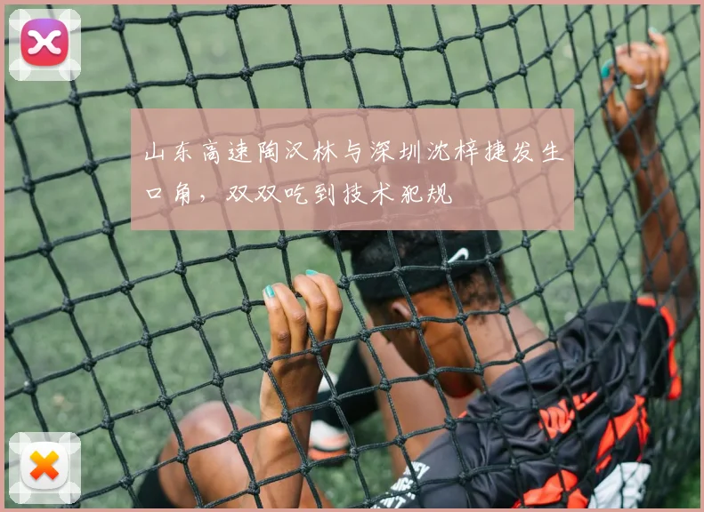 山东高速陶汉林与深圳沈梓捷发生口角，双双吃到技术犯规