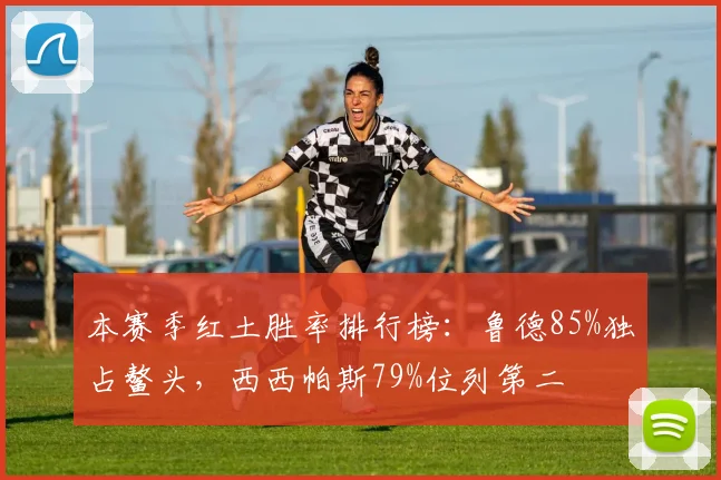 本赛季红土胜率排行榜：鲁德85%独占鳌头，西西帕斯79%位列第二