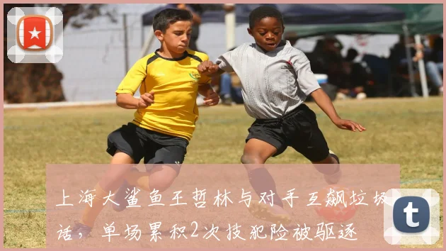 上海大鲨鱼王哲林与对手互飙垃圾话,单场累积2次技犯险被驱逐